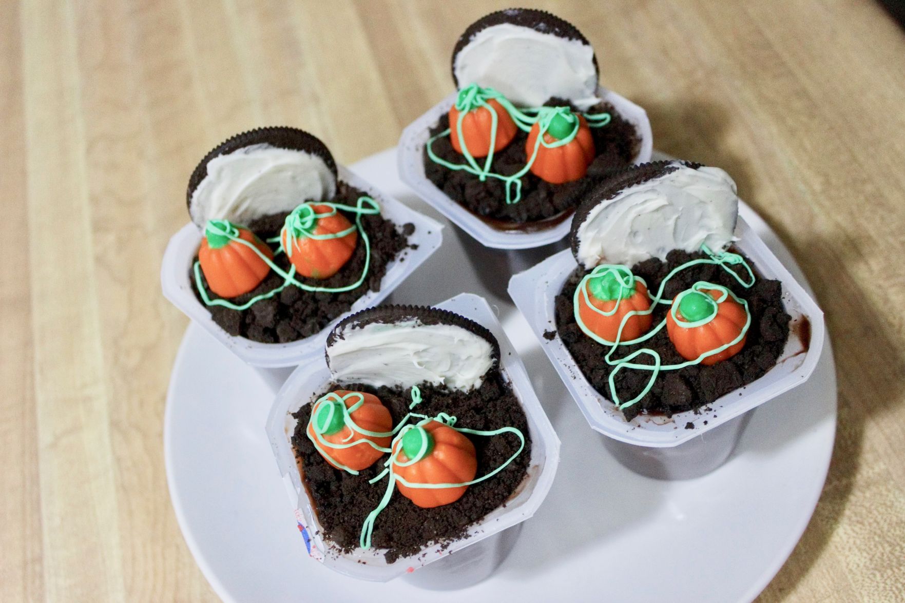 Pudding Pumpkin Patch 2.jpg